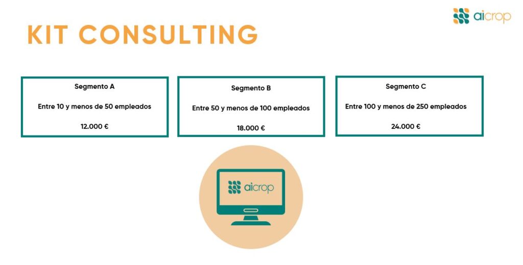 Gráfico ilustrativo de los distintos segmentos del Kit Consulting por número de empleados con importes que van desde los 12.000€ hasta los 24.000€