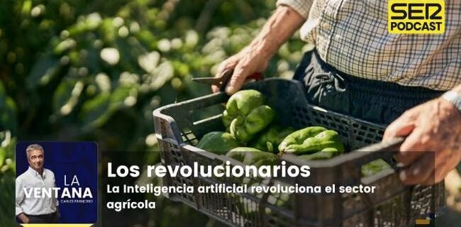 1689611293458_1689611358_asset_still