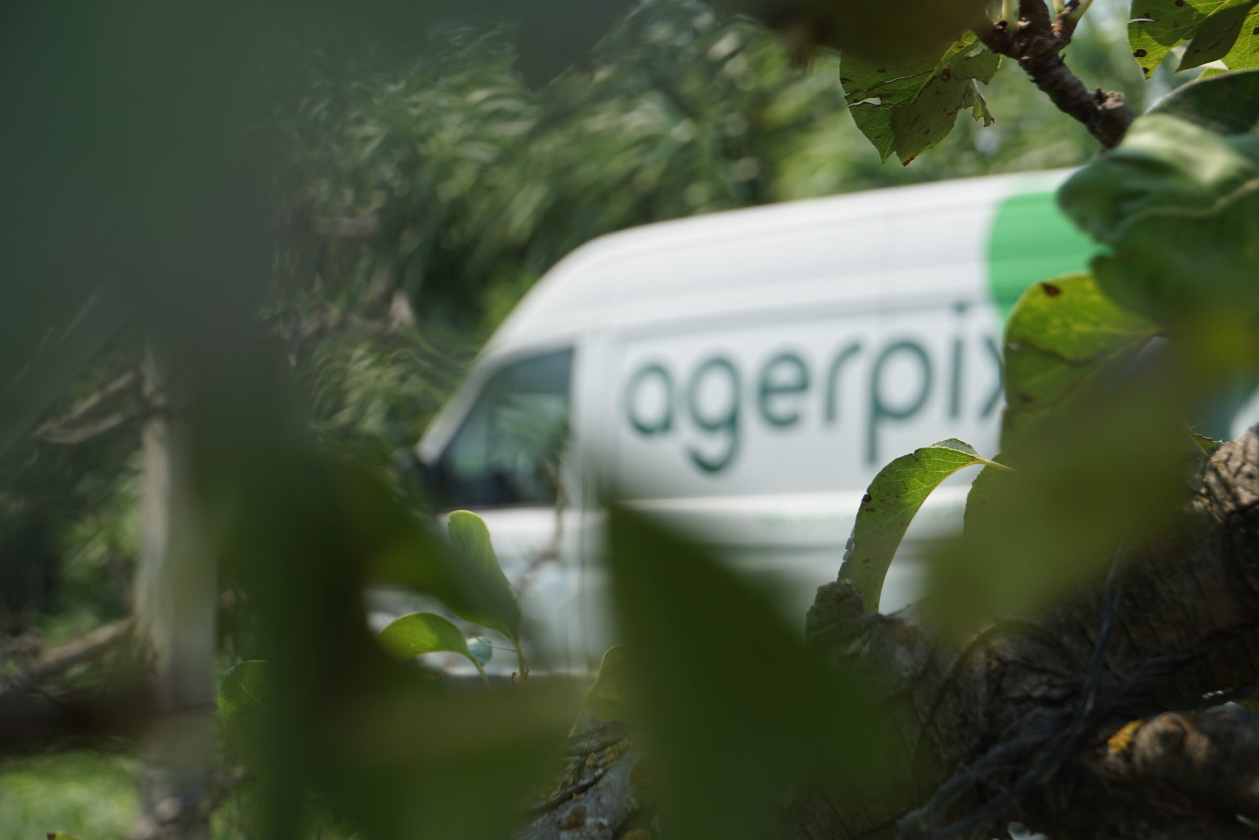 Agerpix
