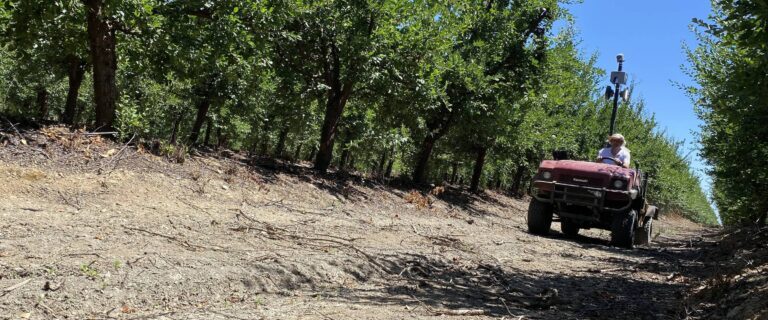 IMG_1706-1-1-768x576