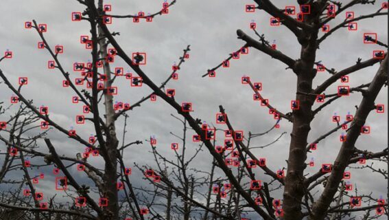 WhatsApp-Image-2025-03-12-at-13.30.17-567x1024