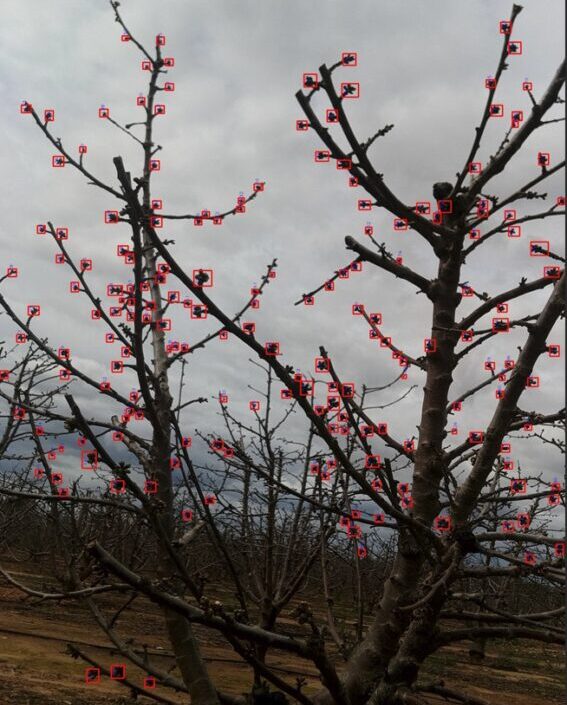 WhatsApp-Image-2025-03-12-at-13.30.17-567x1024 WhatsApp-Image-2025-03-12-at-13.30.17-567x1024