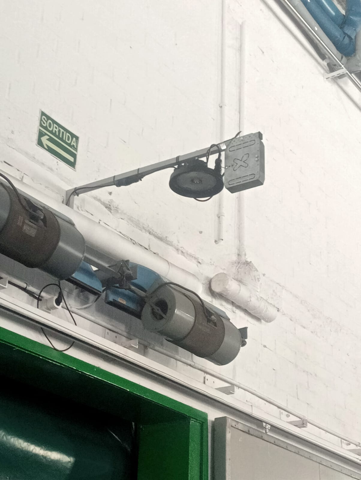 Inspección de fruta con visión artificial