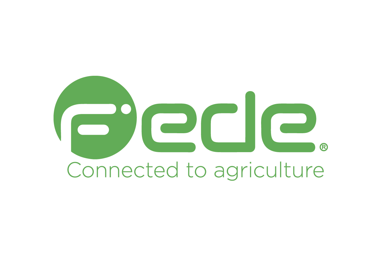 Logo Fede