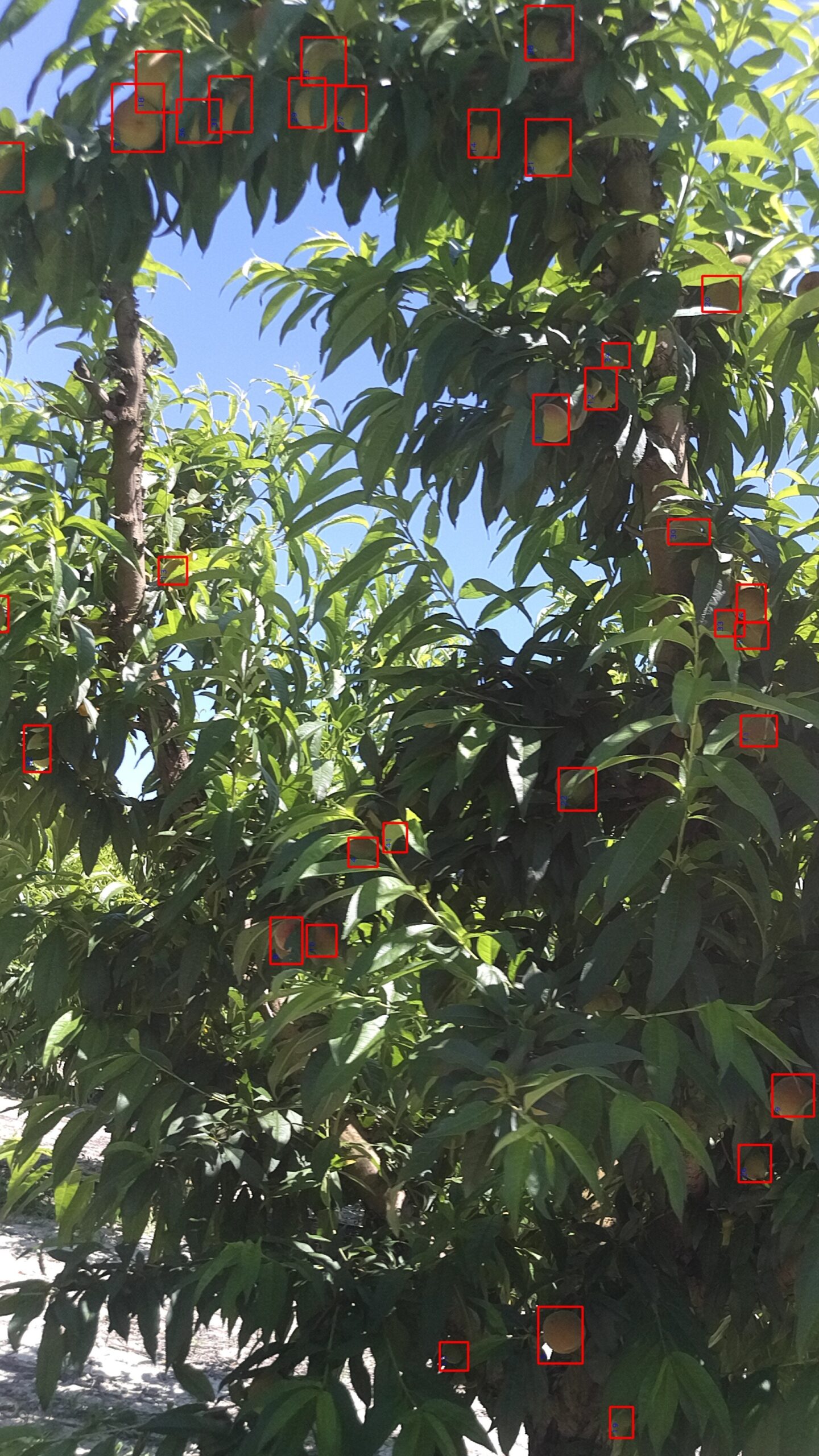 Mobile view – Production