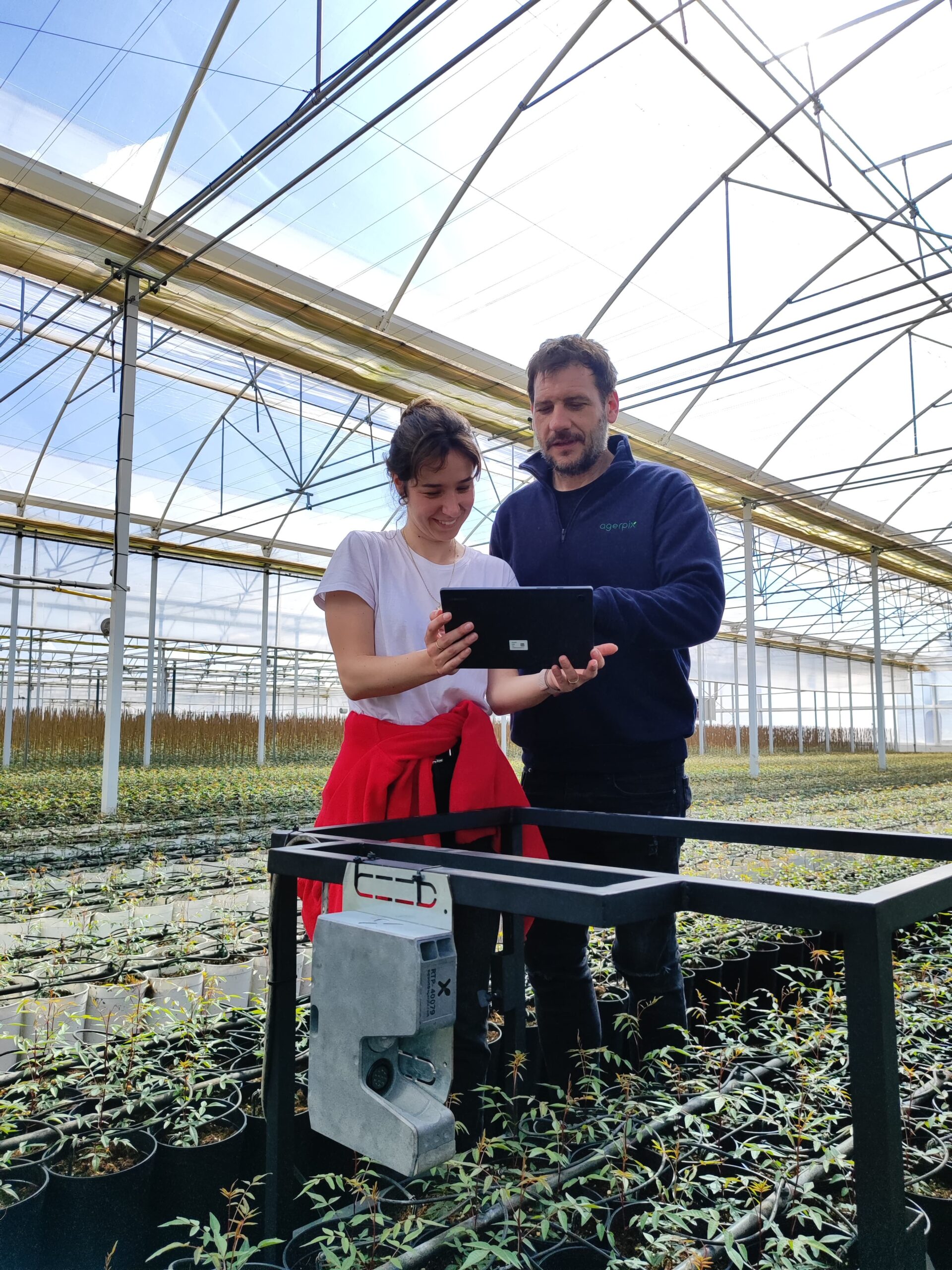 Agróptimum - Artificial intelligence in pistachio production
