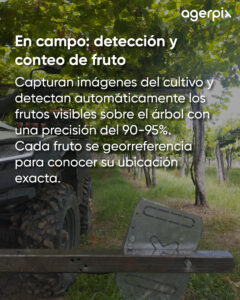 Detecciones de fruta en campo