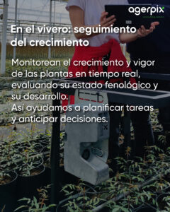 seguimiento del crecimiento en vivero