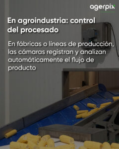 control del proceso agroindustrial en mazorcas