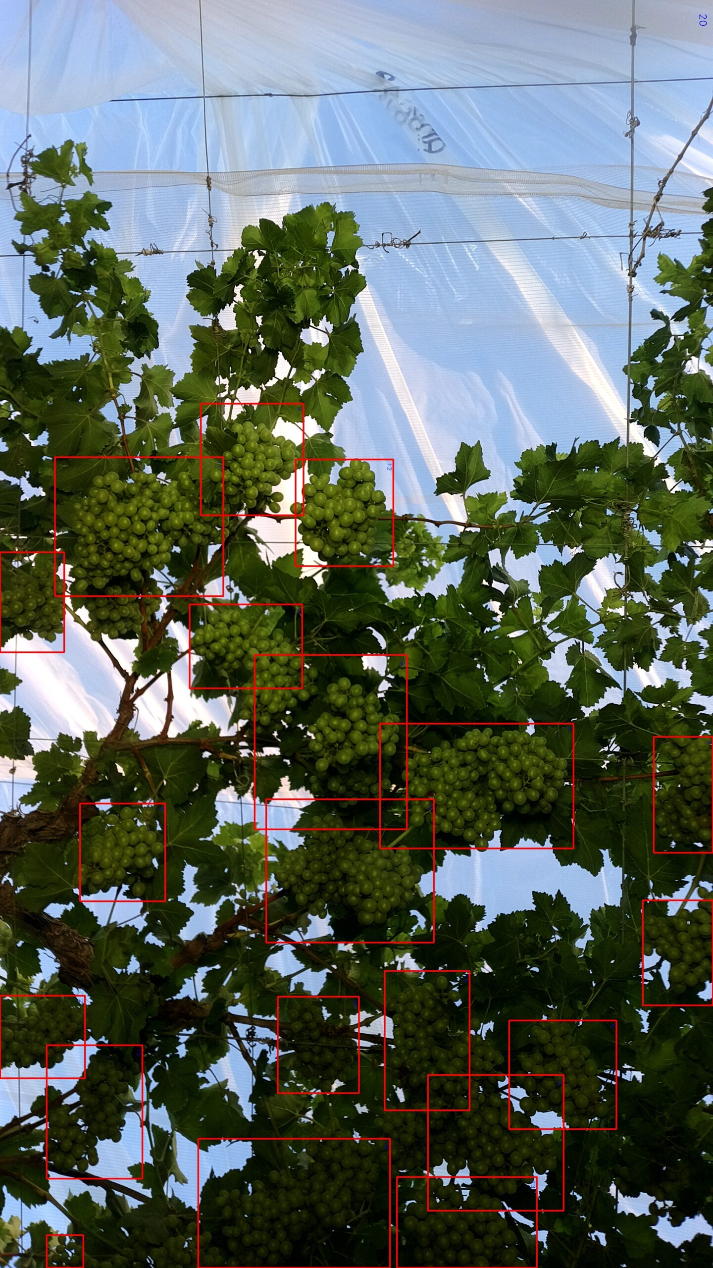 Web view – Production<br>