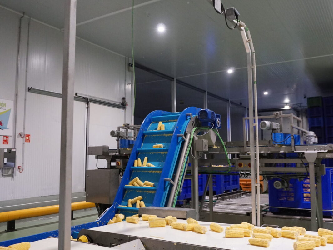 El Campo Contigo (1)