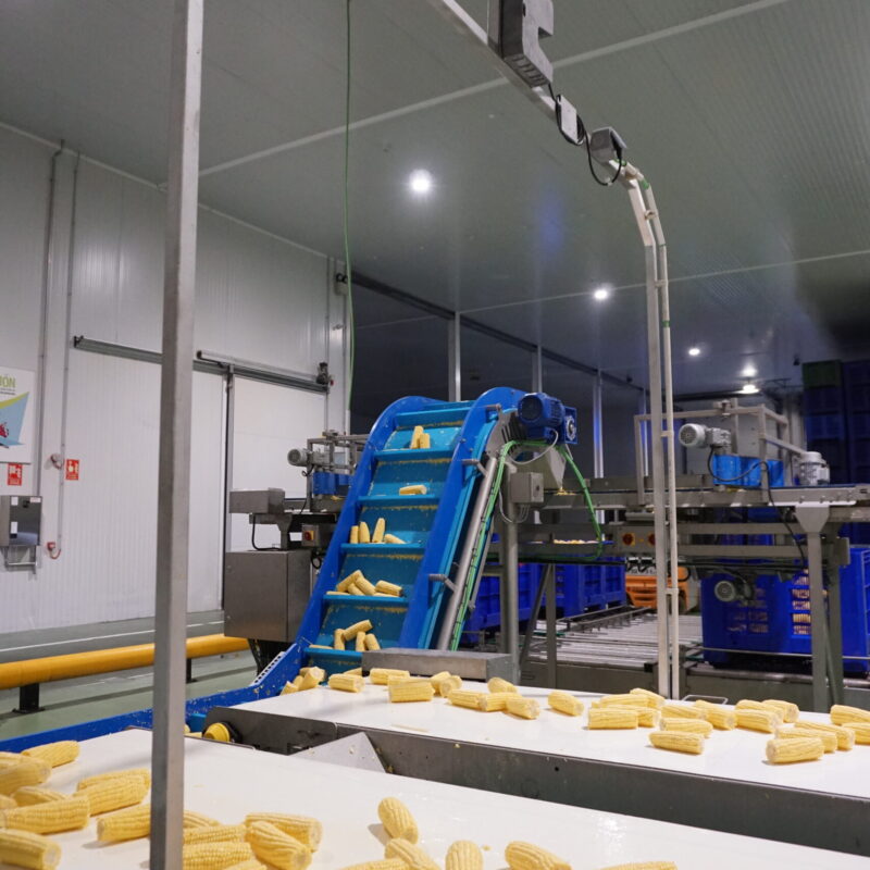 El Campo Contigo (1)