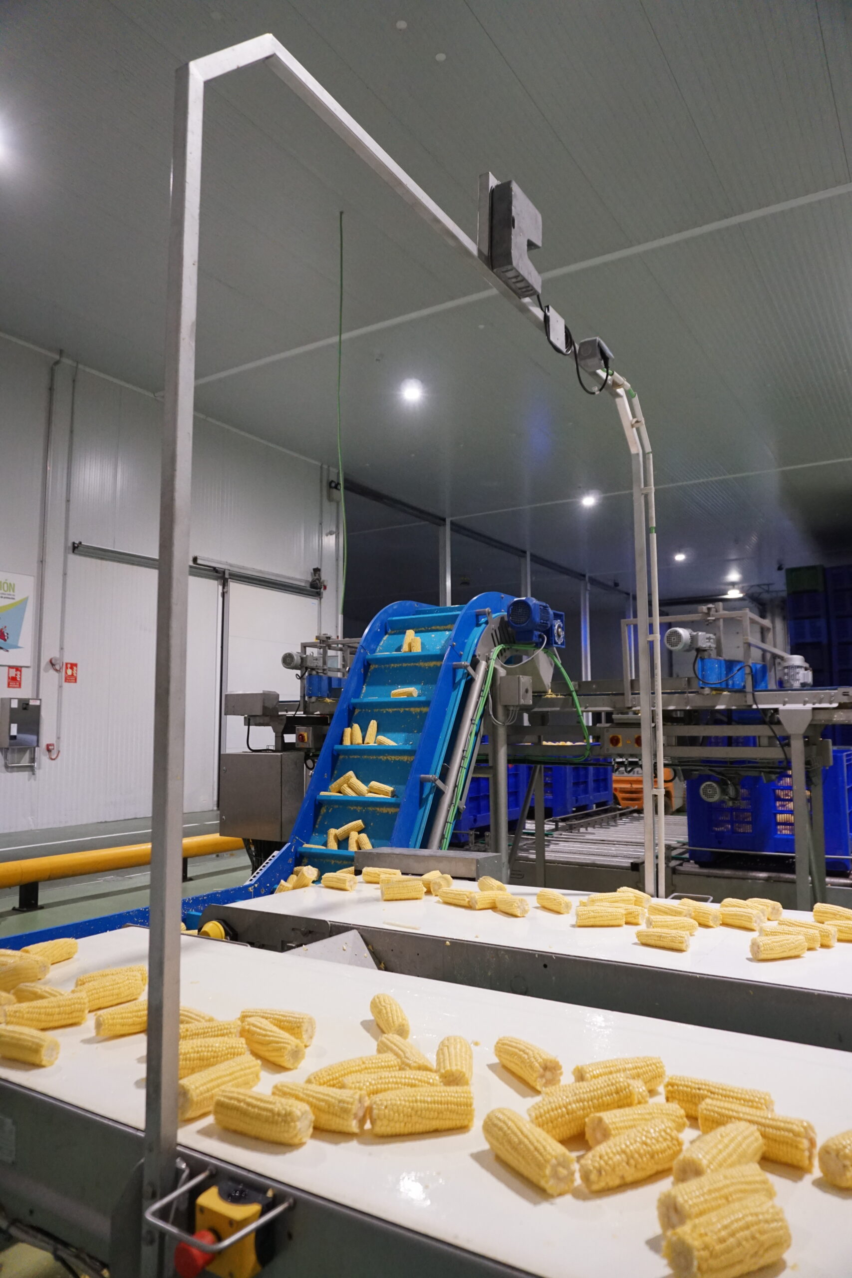 El Campo Contigo - Industrial corn processing