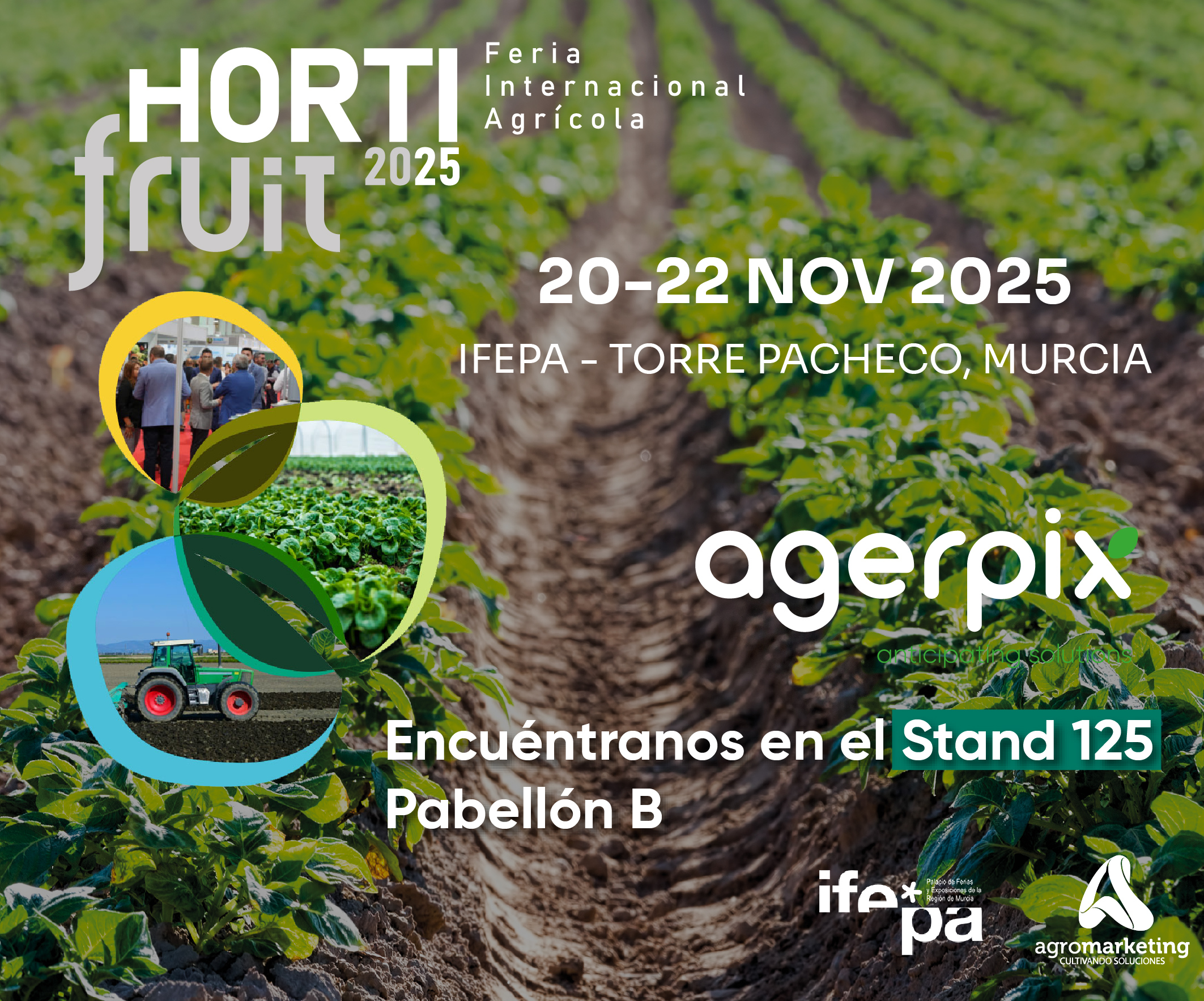 Promoción Hortifruit